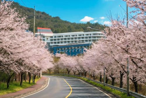 Sanyang-eup Resort | 통영 동원리조트&유스호스텔