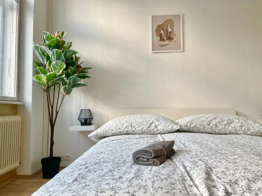 Simmering Apartment | 110 m2 Sunny & Central Long Term Apartment - Free Parking