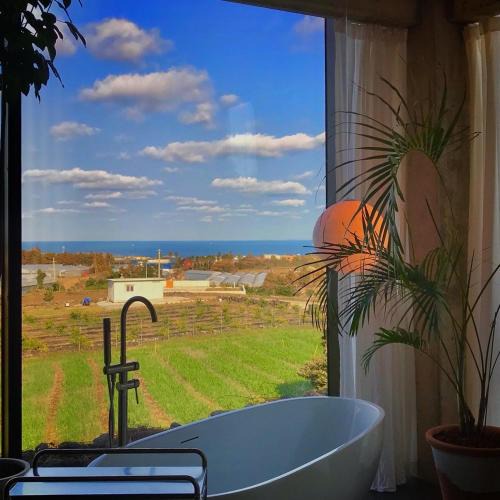 Aewol House | A private space in the western village of Jeju, where you can see the ocean of Aewol and Hallasan, pet-friendly