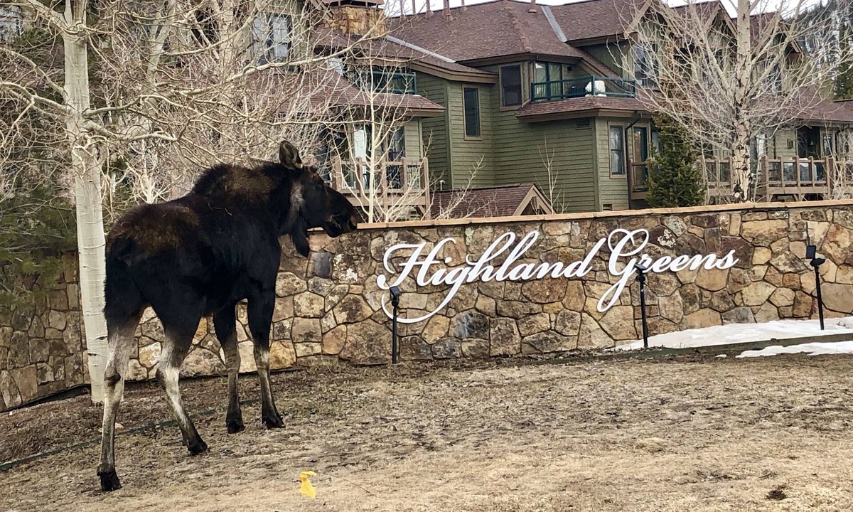 The Highlands House | Amazing Townhome minutes to Downtown Breck w/Free Shuttle & Private Spa
