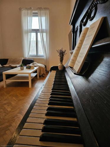 Andel Apartment | Anhouse
