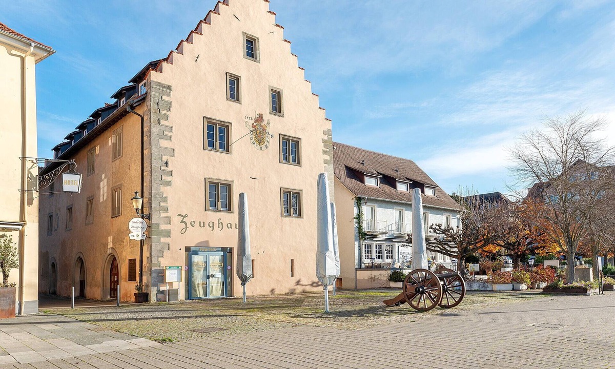 Ueberlingen Apartment | Apartment 'Directly On The Überlingen' with Lake View and Wi-Fi