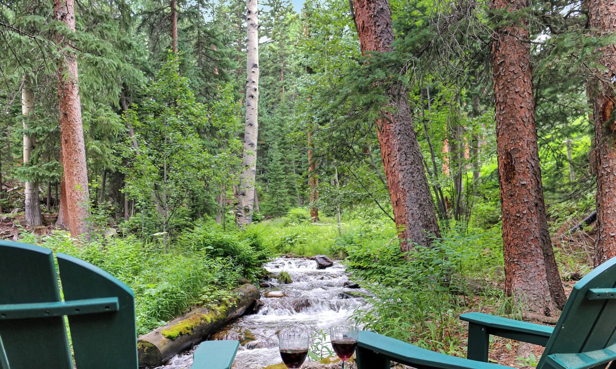 Downieville-Lawson-Dumont Cabin | Awesome 2-bedroom cabin in delightful Dumont perfect for relaxing stays