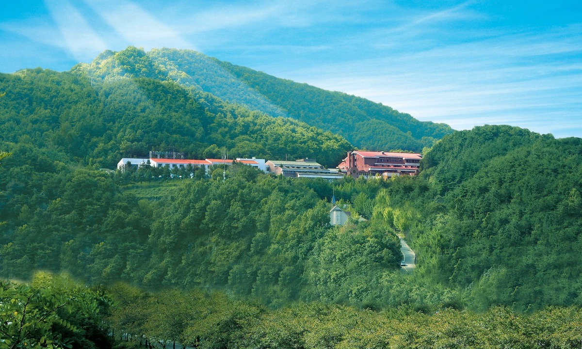 Chungju Hotel | Chungju Suanbo Park Hotel