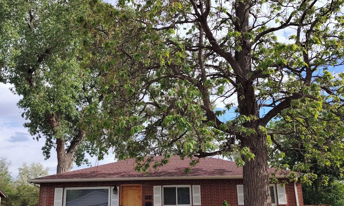 Harvey Park South House | Comfy 3BR Home Near Downtown Denver & Red Rocks