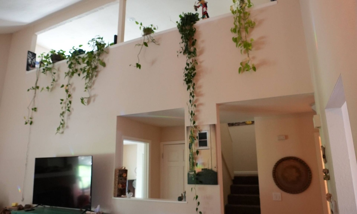 West Westminster House | Cozy House + Adventure Pad to Downtown Denver or the Rockies