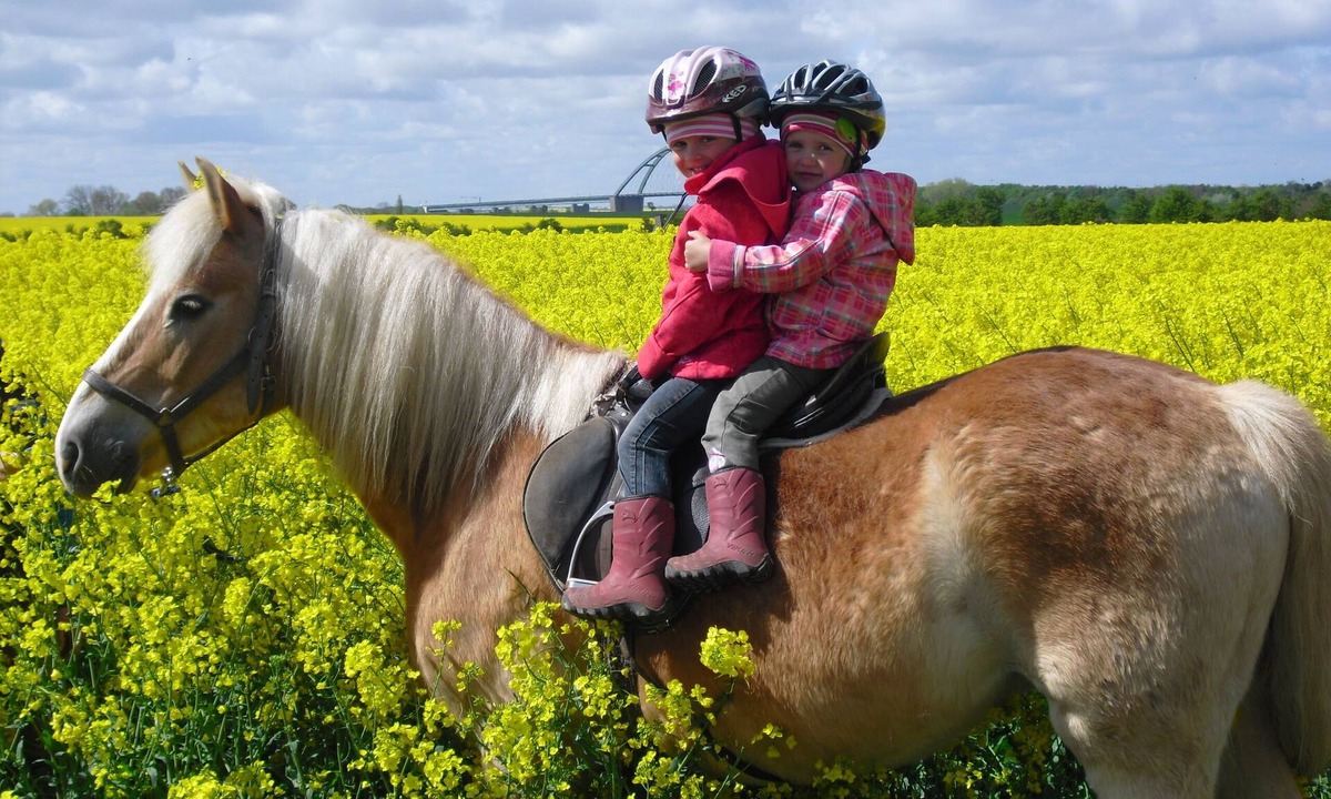 Avendorf House | Family-friendly vacation farm with comfortable 3 and 4 star apartments