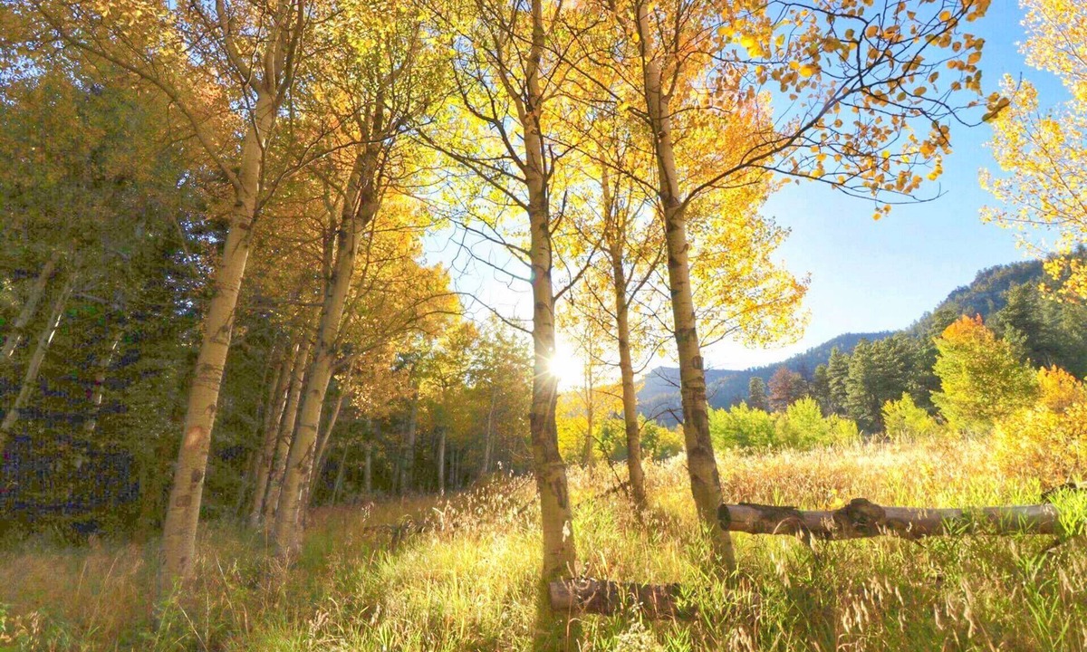 Lake George RV Rental | Family Glamping Escape 2 Queens + Twin Bed