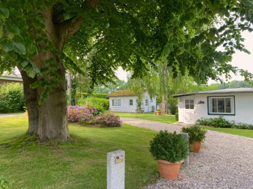 Ponitz am See House | Ferienhaeuser Poenitz am See