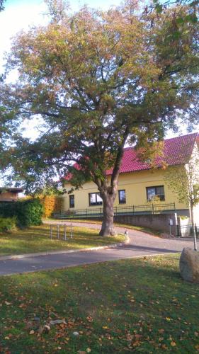 Bad Saarow Apartment | Ferienwohnung Perlitz