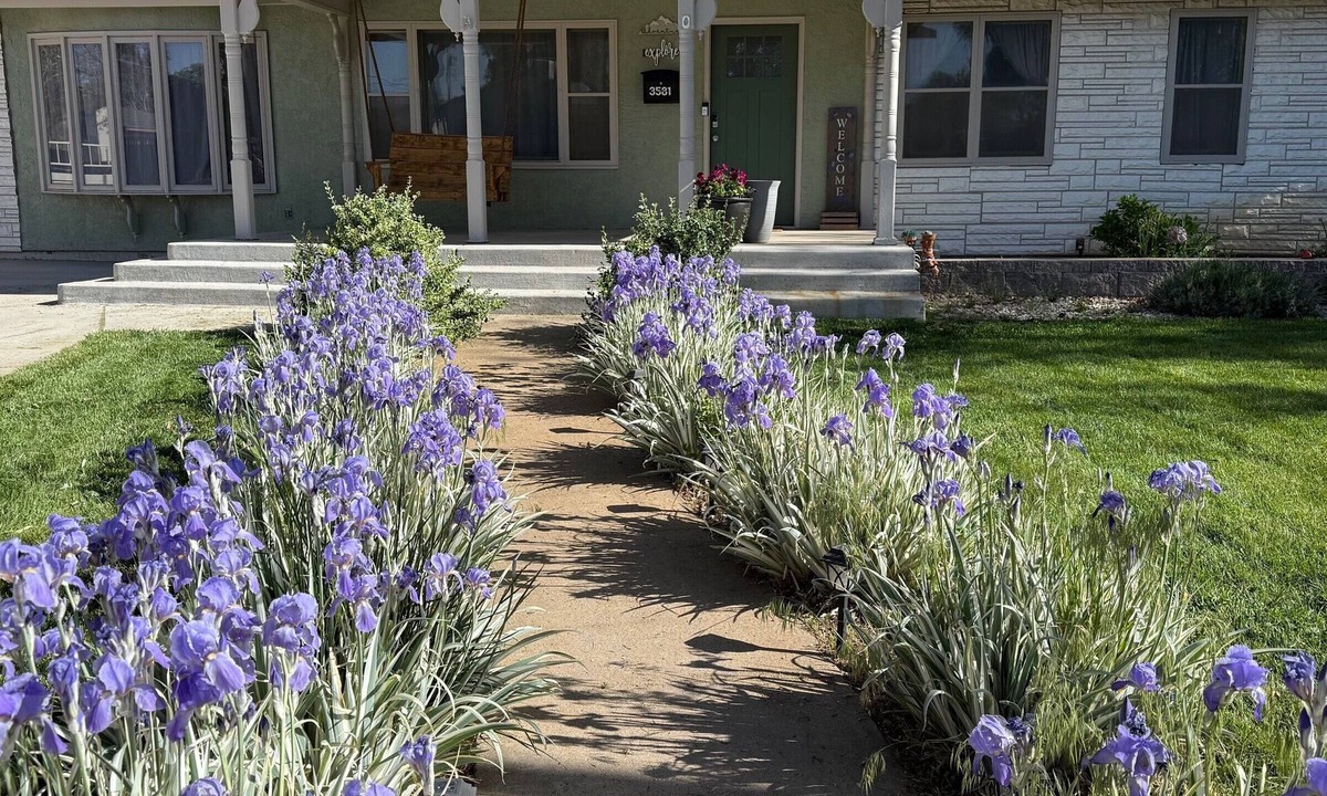 Pueblo House | Fully Renovated Cozy Home