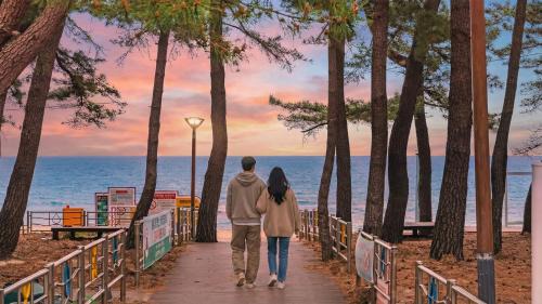 Gangneung House | Gangneng badapunggeong Pension