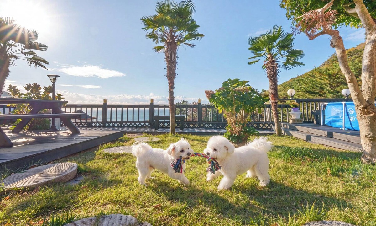 Geoje House | Geoje Yeoul Pet-friendly Pension