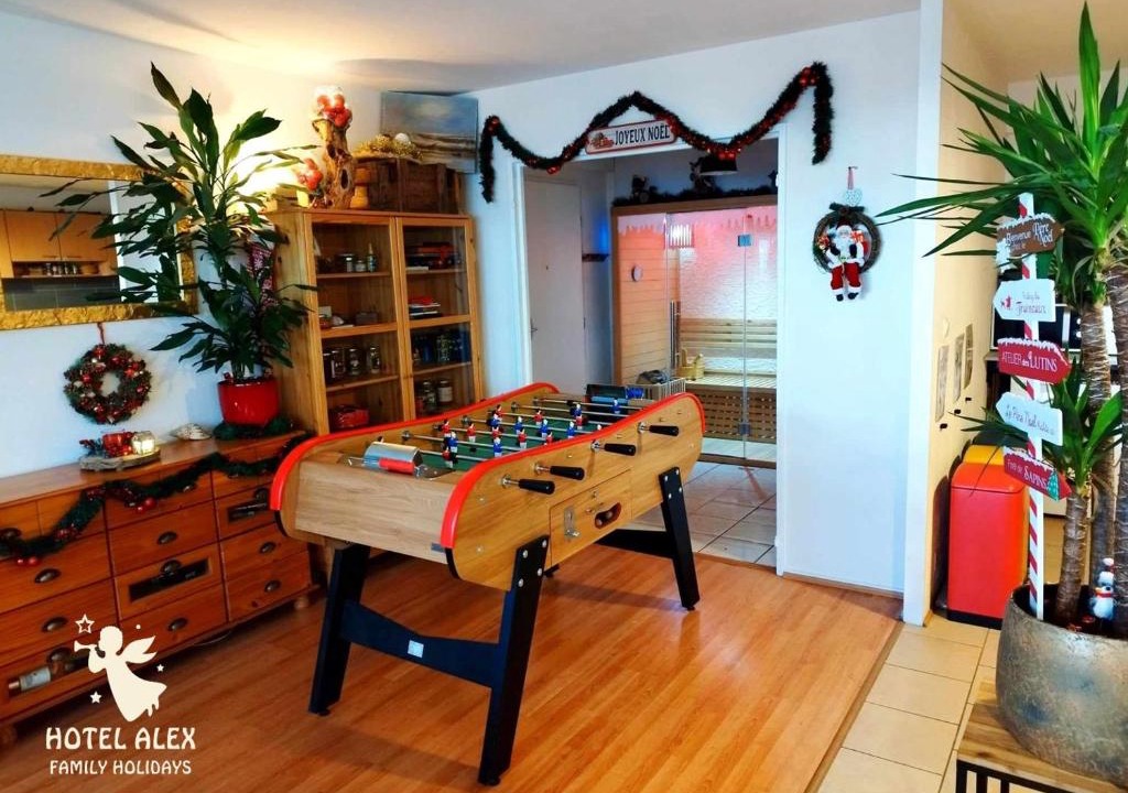 Koenigshoffen Est Apartment | Grand appartement avec sauna