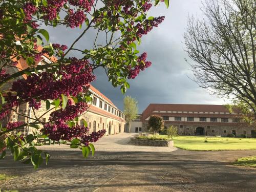 Tauchritz Hotel | Gut am See