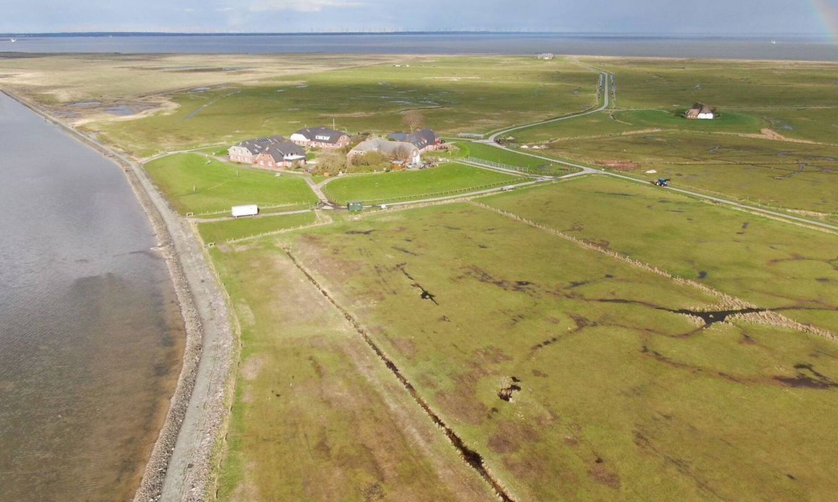Hallig Langeneß Apartment | Hallig Hüs 1 - Experience relaxing days in our cozy apartment on