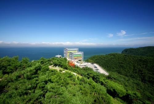 Gangneung Hotel | Haslla Art World Museum Hotel