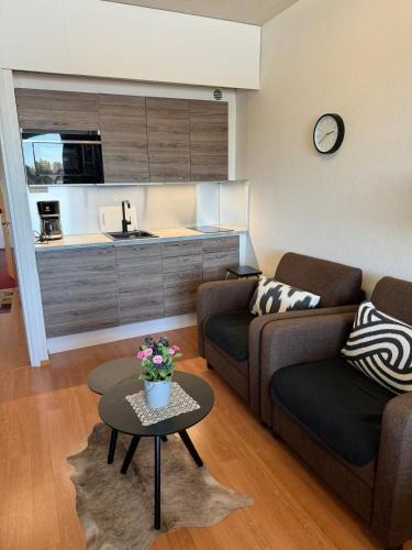 Ikaalinen Apartment | Hotelli Terme 425