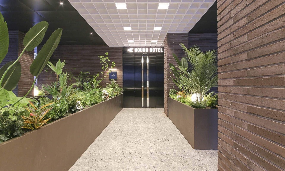 Haga-ri Hotel | Hound Hotel Jeonju Deokjin