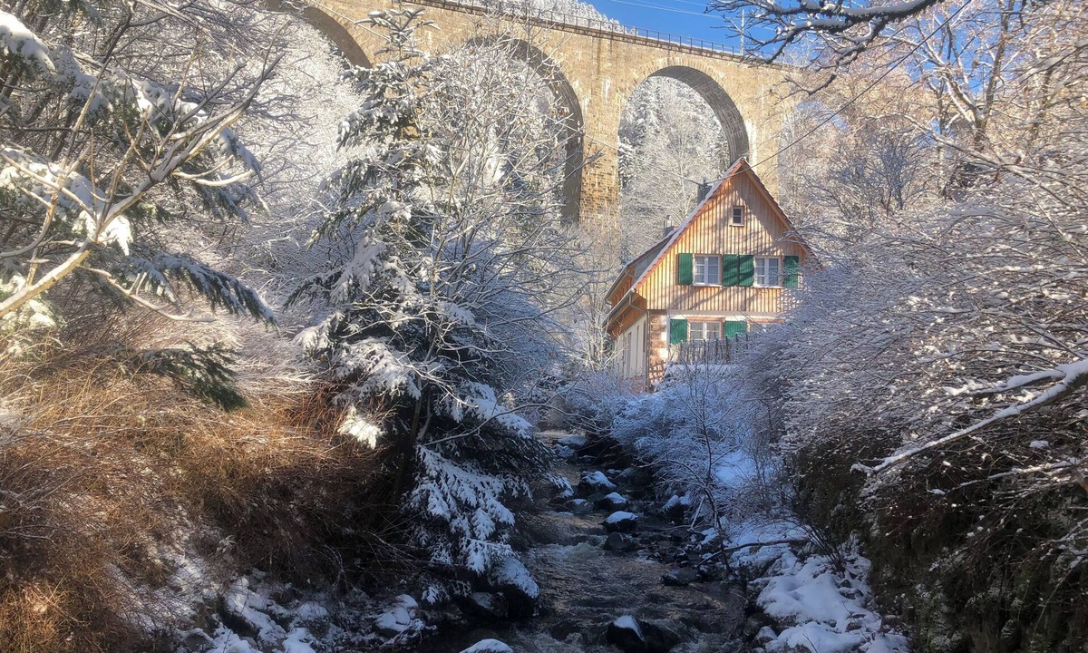 Breitnau House | House