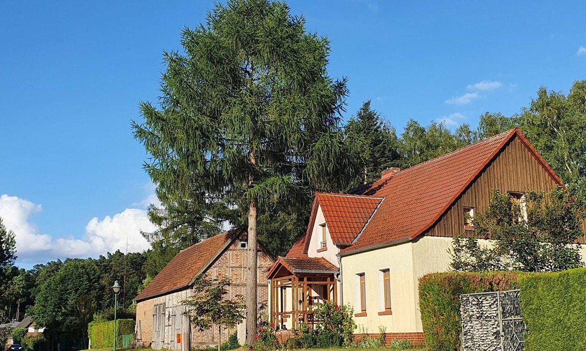 Oberhavel Apartment | Hunter's apartment in the Großmenow forester's lodge