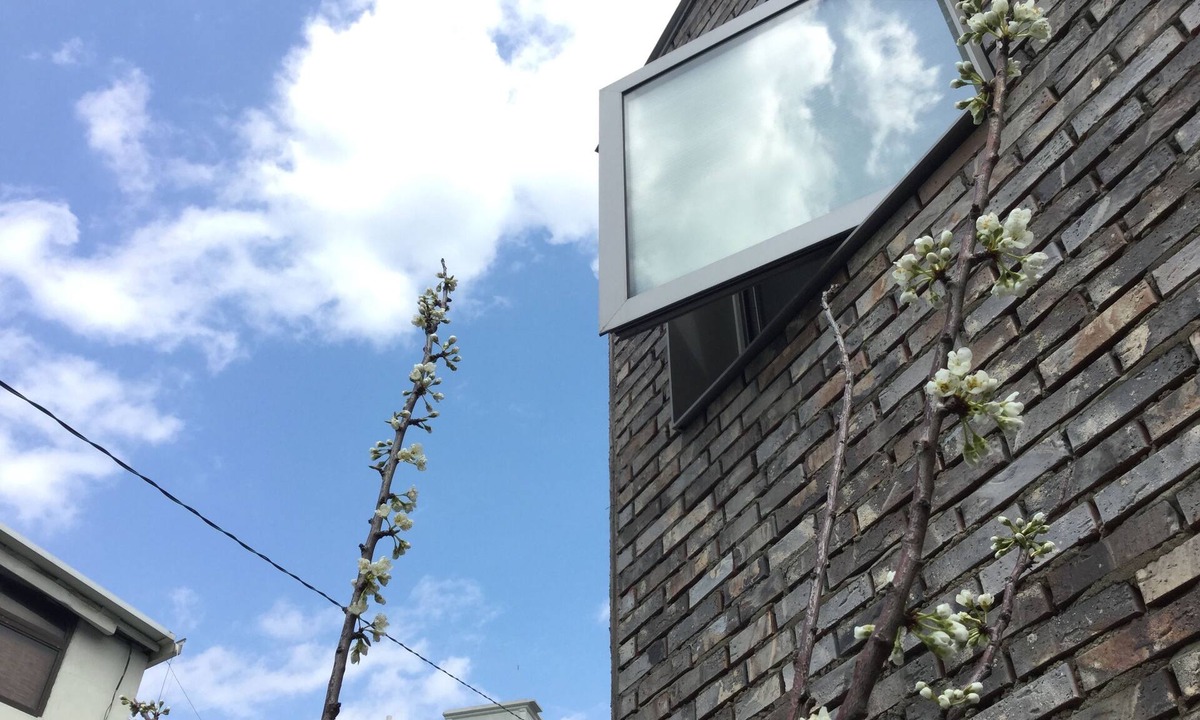 Jung-gu Hostel | Inside Busan Hostel