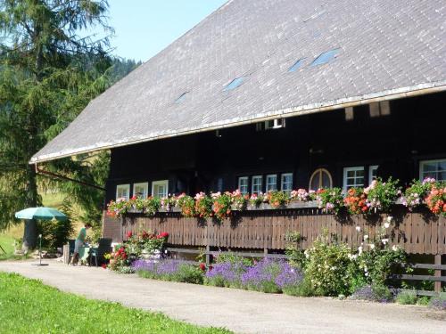 St. Blasien Apartment | Kammbühlhof
