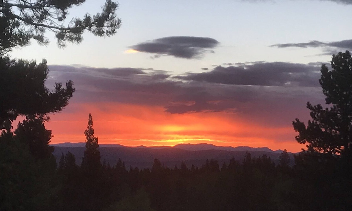 Fairplay Cabin | Little Bear's Log Cabin w Mountain views on quiet acreage, close to Breckenridge