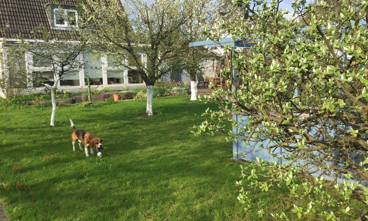 Sankt Lorenz Sud Apartment | "lodge one"