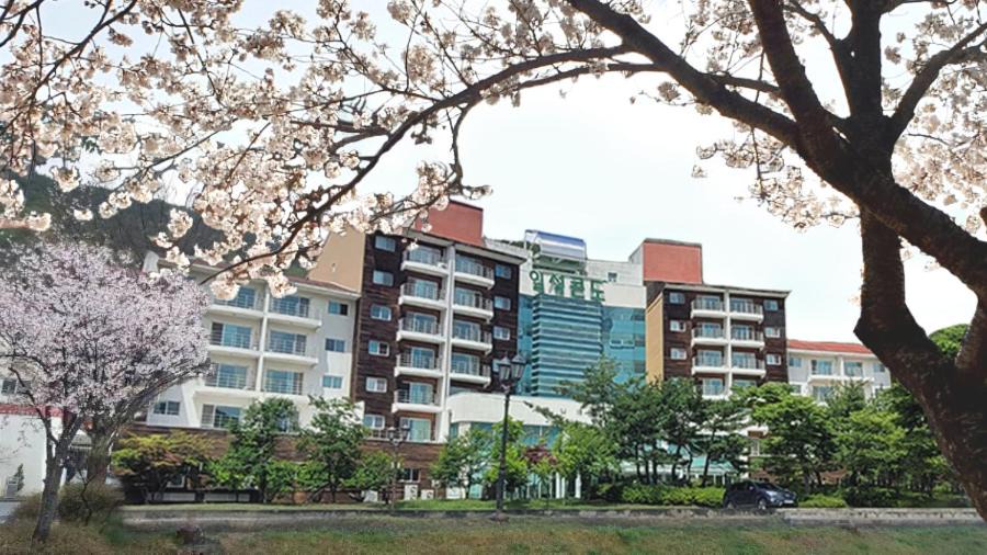 Muju Apartment | Muju Ilsung Condo