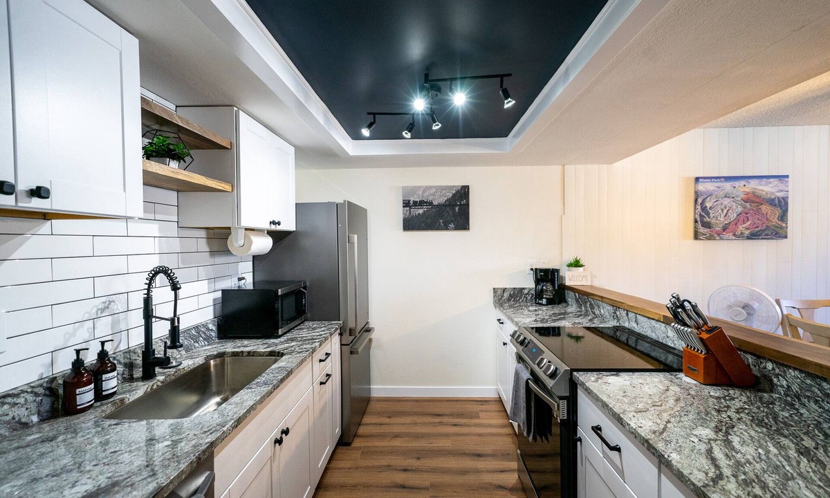 Fraser Apartment | Near Winter Park | 2 King Beds | Pets Stay Free