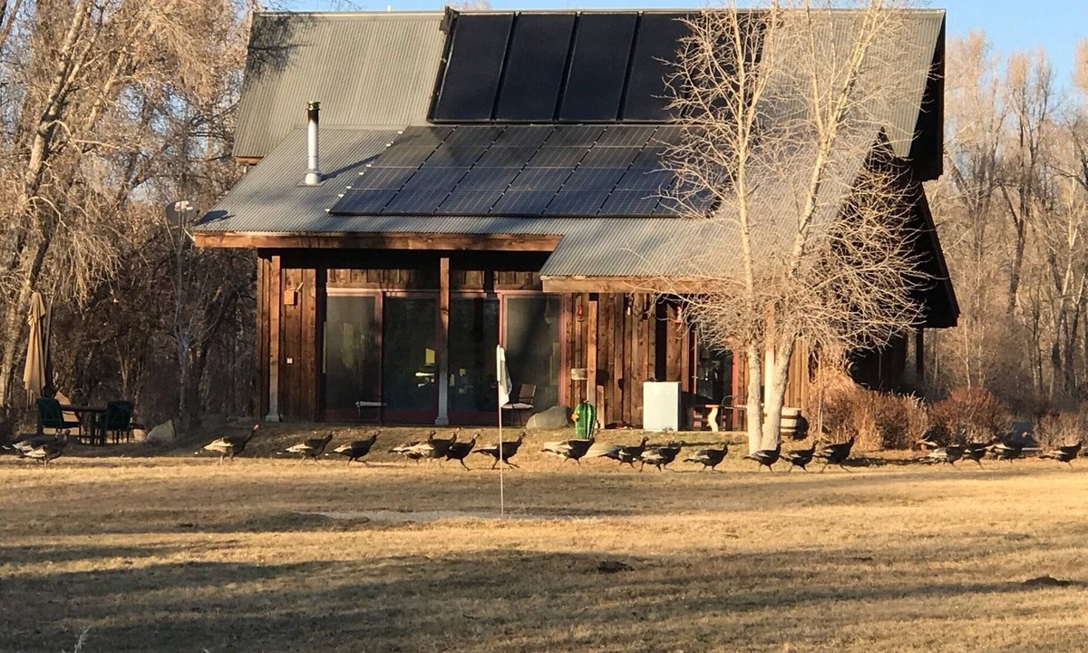 Mancos Apartment | Oso Verde Ranch, a natural oasis, is located just a mile from downtown Mancos