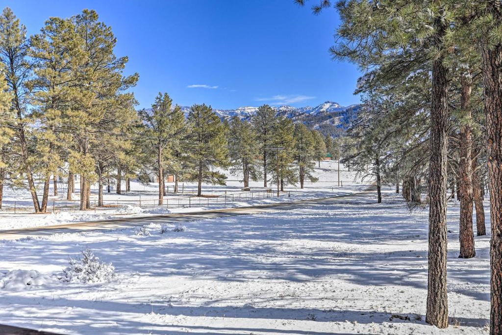 Pagosa Springs House | Pagosa Springs Gem w/Yard, Decks + Mtn Views!