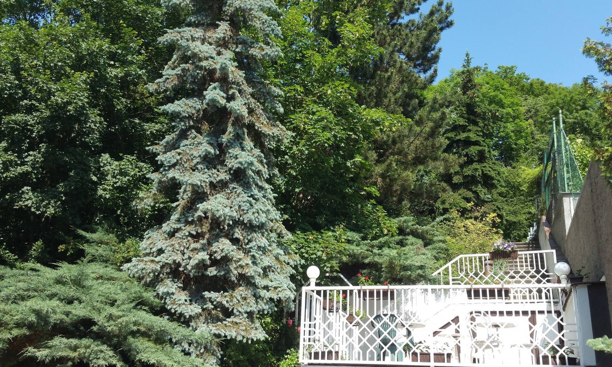 Kosire Hotel | Pension Kern