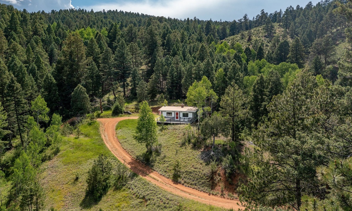Woodland Park Cabin | Pike National Forest Cabin Getaway with Mountain Views and Fire Pit