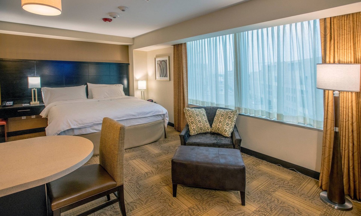 Downtown Denver Apartment | Queen Studio in Downtown! Shared Hot Tub + Pool Access