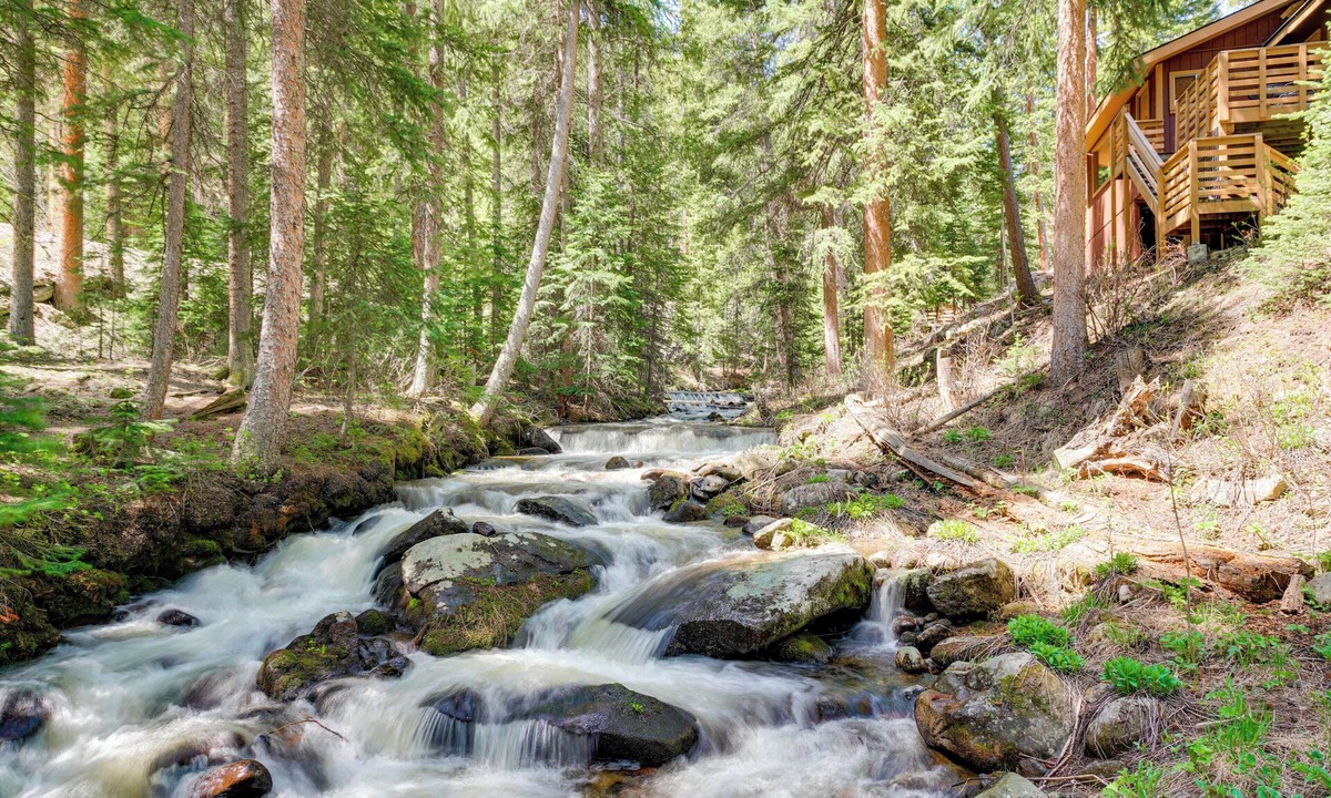 Downieville-Lawson-Dumont Cabin | Riverside Colorado Cabin w/Deck & Hot Tub