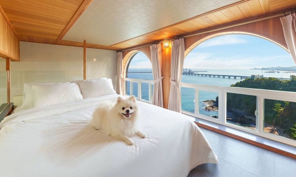 Samcheok House | Samcheok Peacehousing Spa Pet Pension
