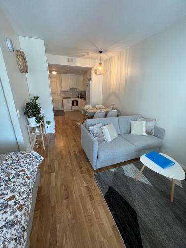 Siilinjarvi Apartment | SiilinPiha central apartament Siilinjärvi