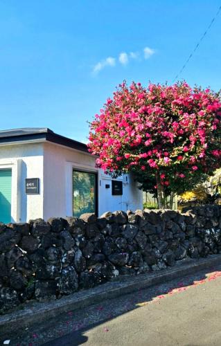Seogwipo City House | Soonbigi 순비기 Jeju Stone House in Seogwipo