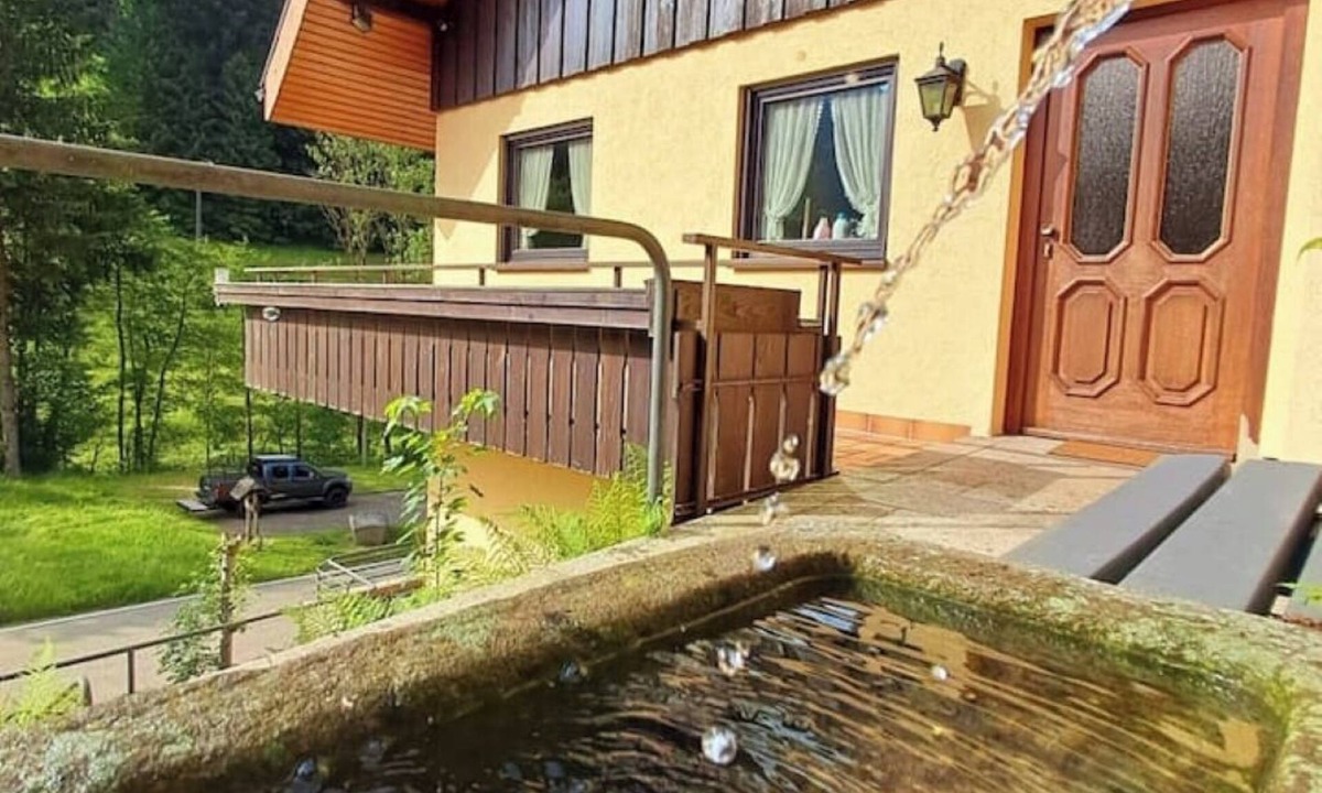 Bad Rippoldsau-Schapbach Apartment | Startingpoint vacation apartment valley side