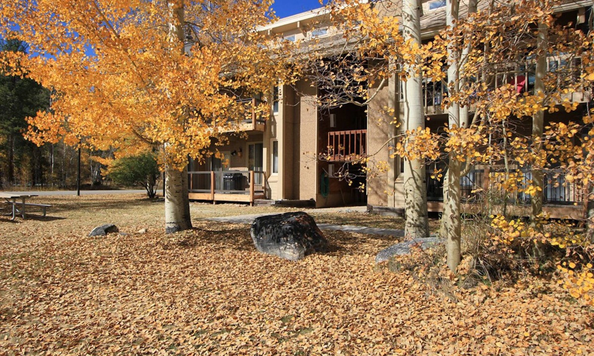 Frisco Condo | Stunning FULL Remodel 3 Bdrm 4 Bath + Loft *HUGE 1887 sqft.*1 Block to Free Bus