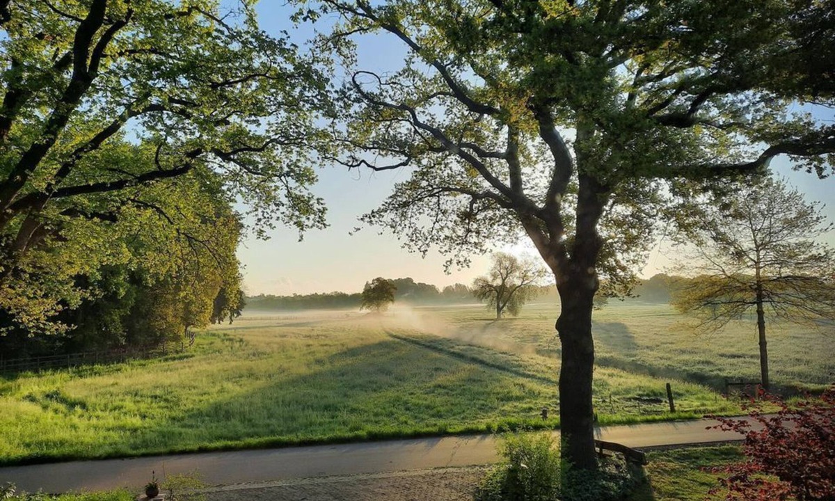 Westerstede Apartment | Surrounded by greenery - Ferienwohnung am Thalenbusch - Ferienwohnung am Thalenbusch