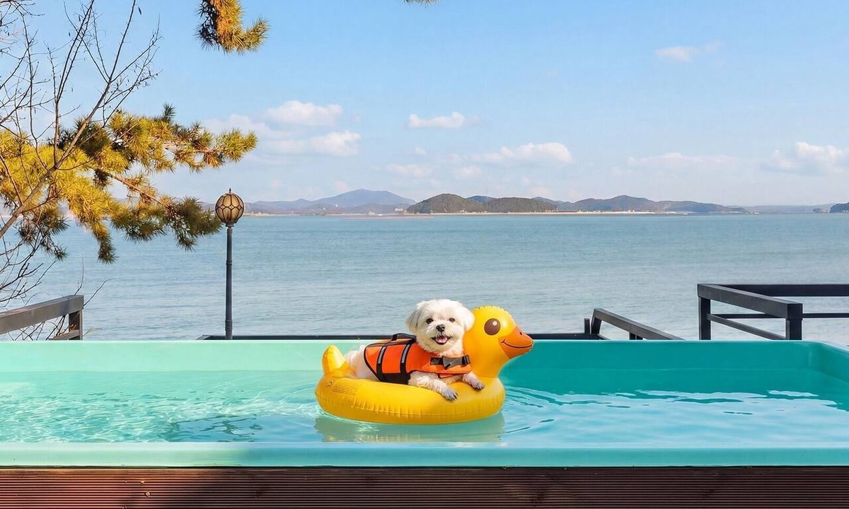 Iwon House | Taean Solpleo Pool Villa