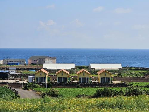 Jeju City House | Udo Sunflower Pension