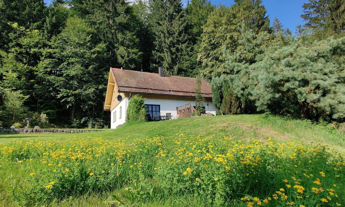 Bodenmais House | Vacation in the forest - experience nature