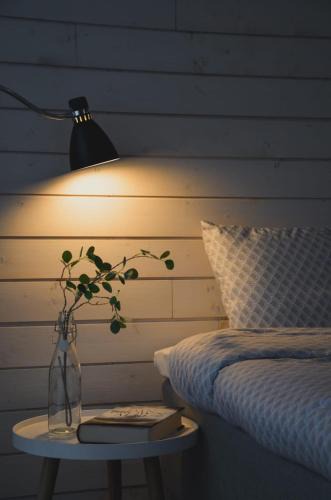 Lumijoki Apartment | Willa Rauha E, minikoti saunalla, iso parkkialue