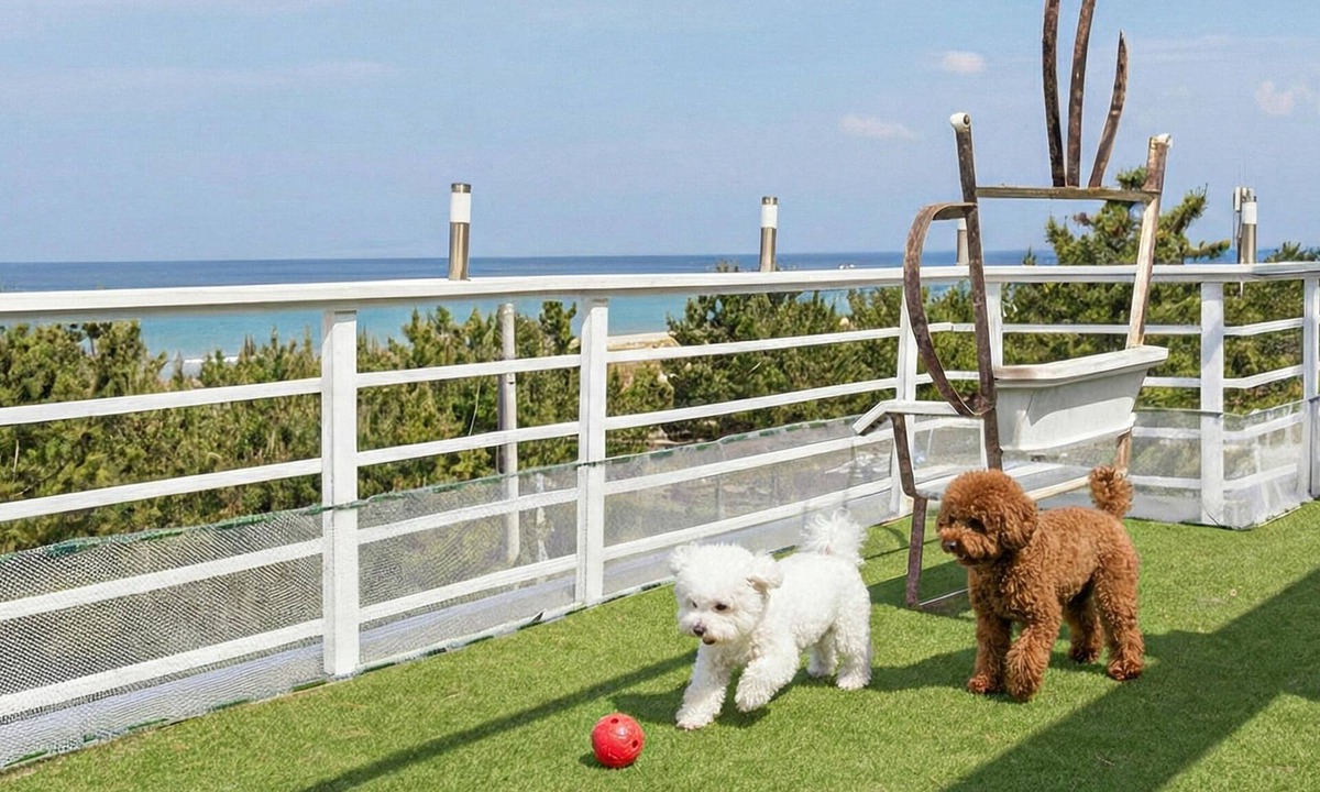 Yangyang House | Yangyang Bono Pet-friendly Pension