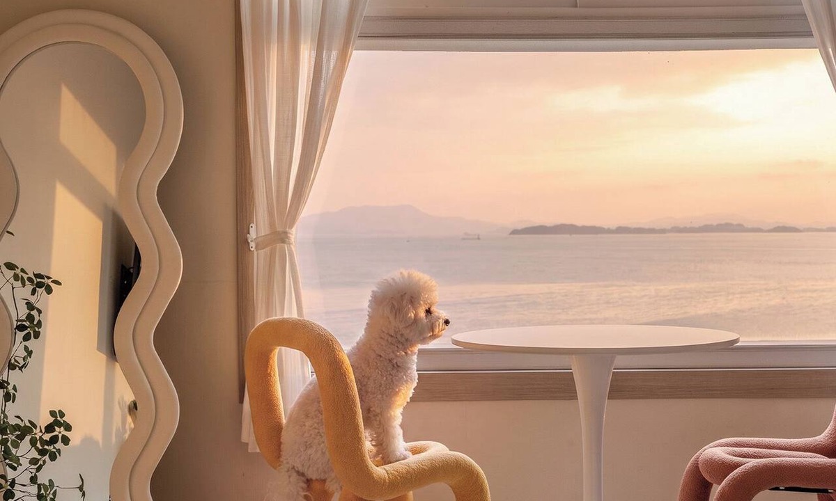 Pokchon House | Yeosu Canada meo Village pet Pension