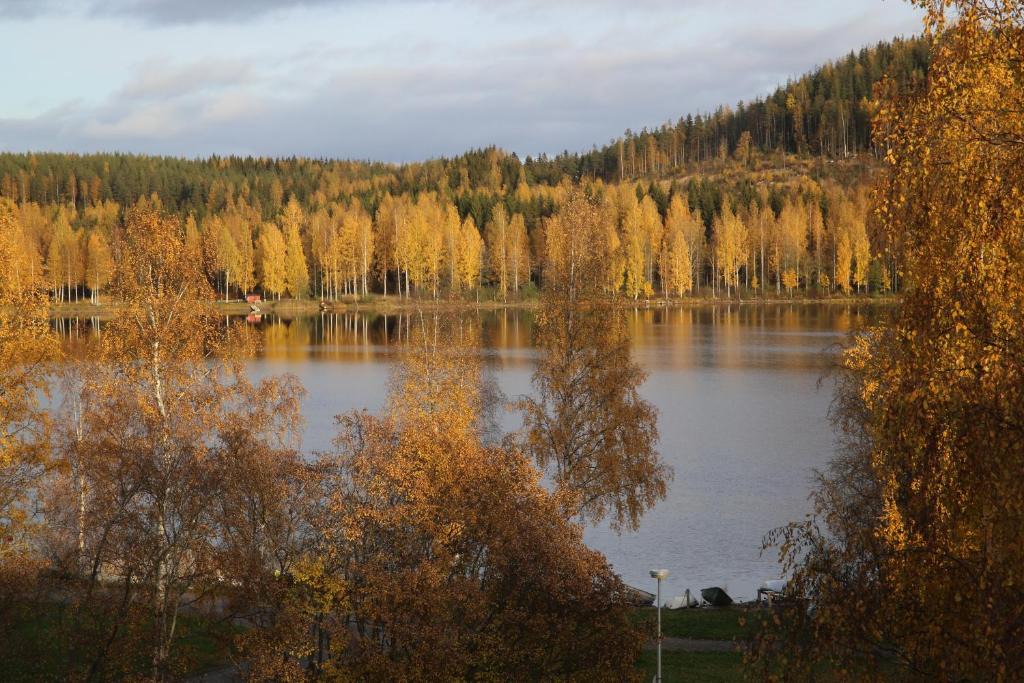 Aanekoski Apartment | Yksiö Järvimaisemalla